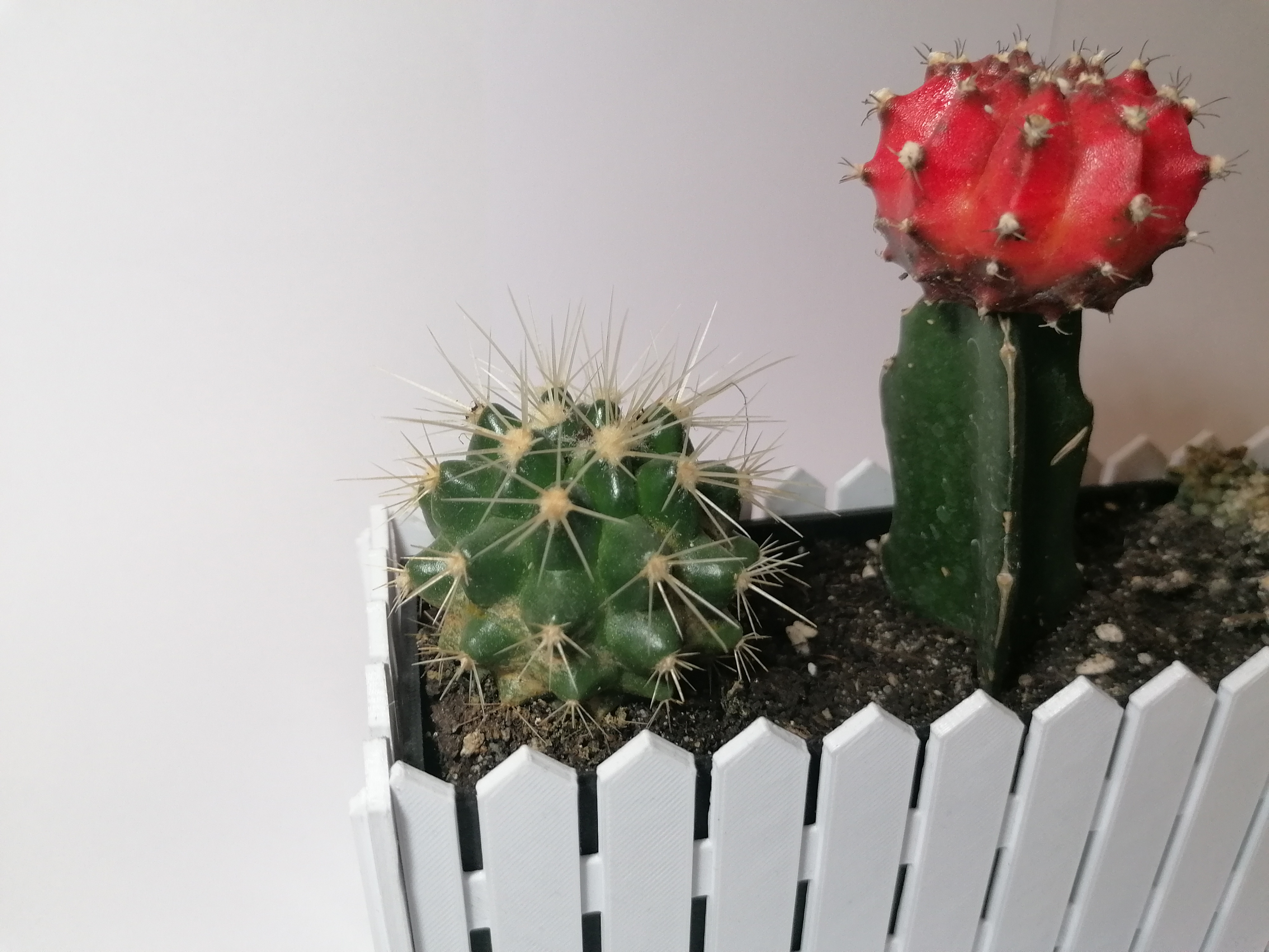 Miniatura 2 do modelo 3D Mini flower bed