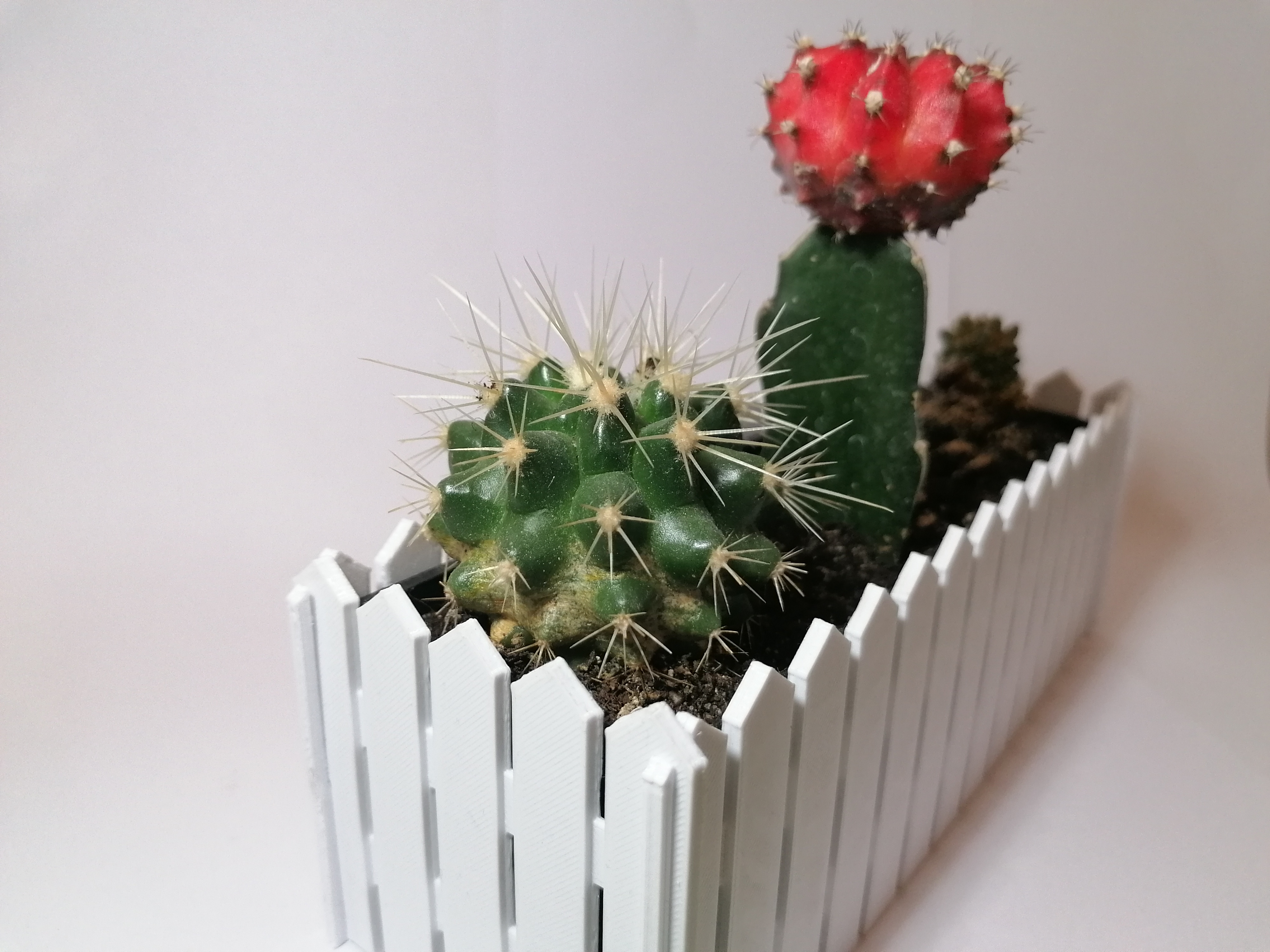 Mini flower bed
