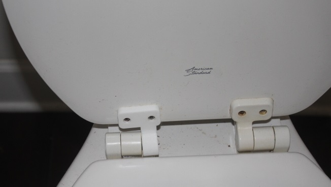 Toilet Lid Hinge