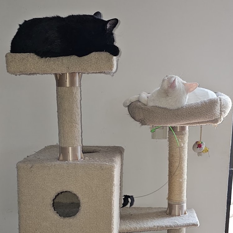 Cat Tree Support Bracket Easy to Install, No Disassembly Required! by