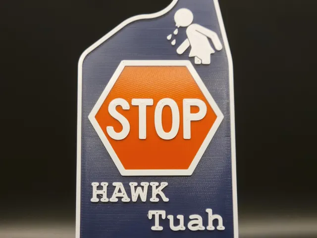 Hawk Tuah Door Hanging Stop Sign (Single filament printer friendly)