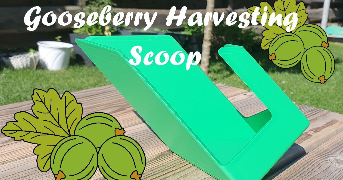 Gooseberry Harvesting Scoop by ENO3D | Download free STL