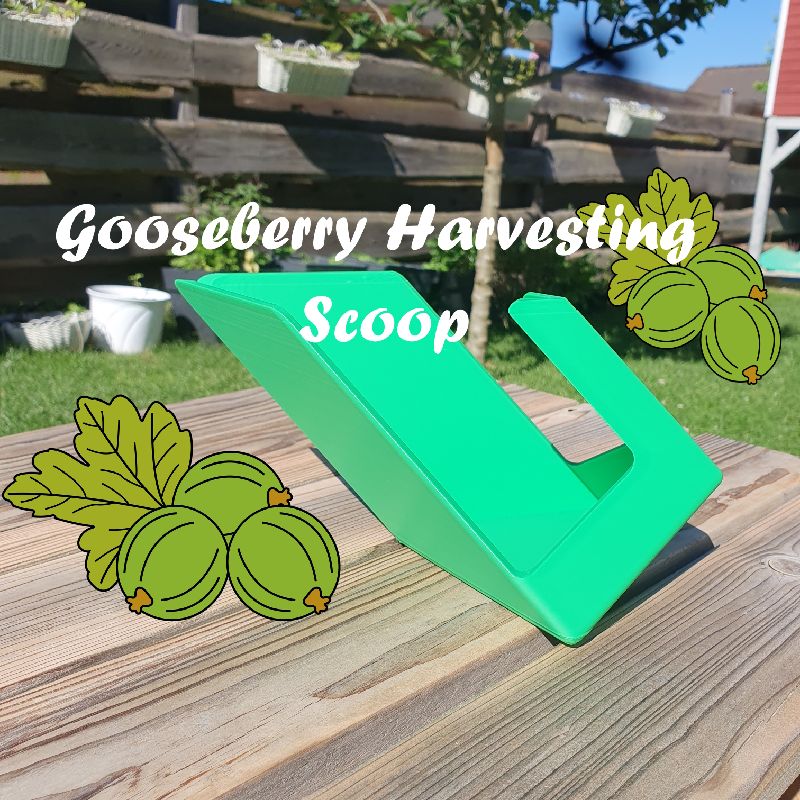 画材 Gooseberry Gooseberry - Gooseberry With Leaf Illustration PNG
