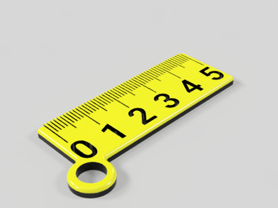 Ruler key chain