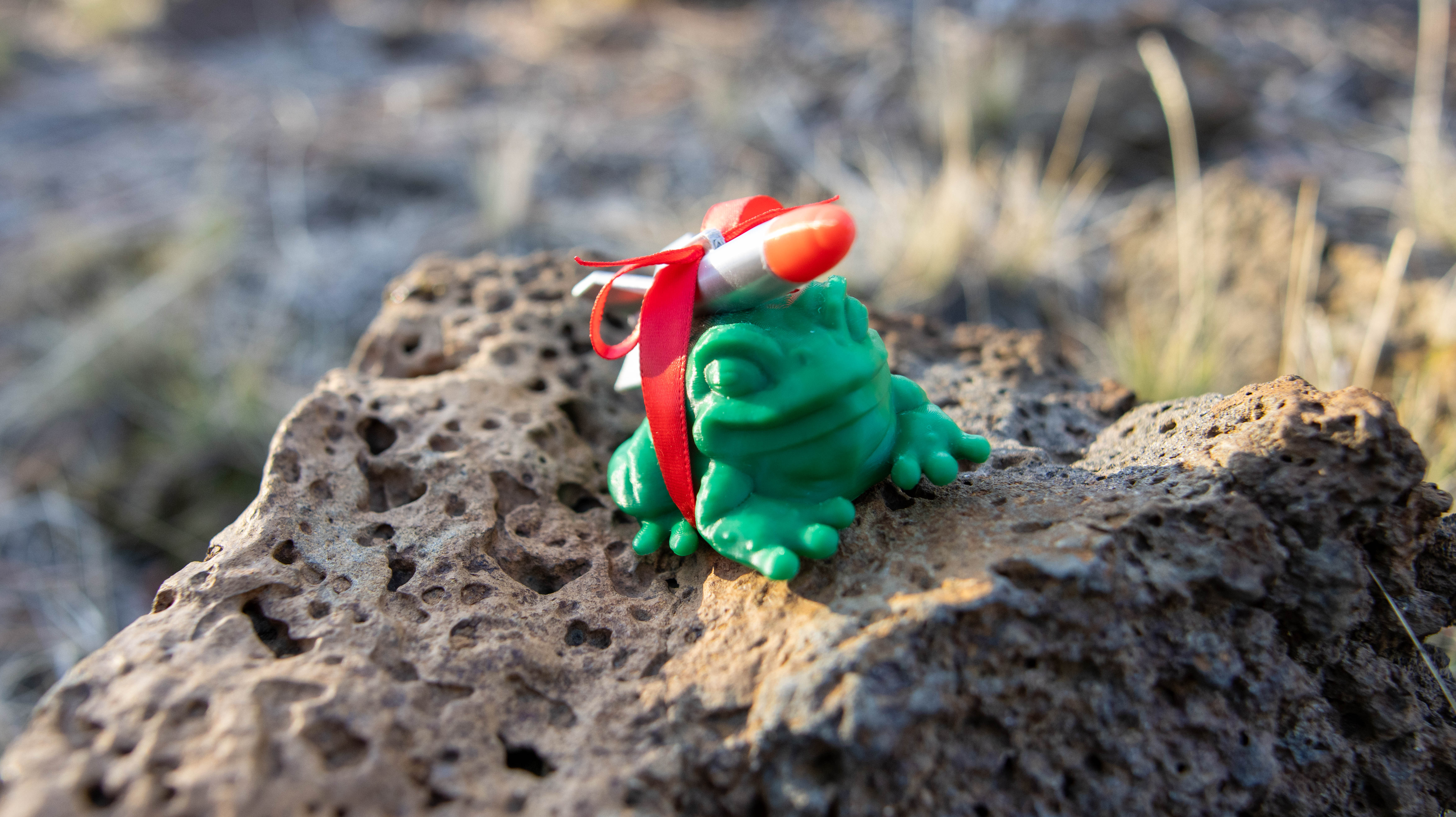 Miniatura 5 do modelo 3D Missile Toad by BeardRobot (V2)