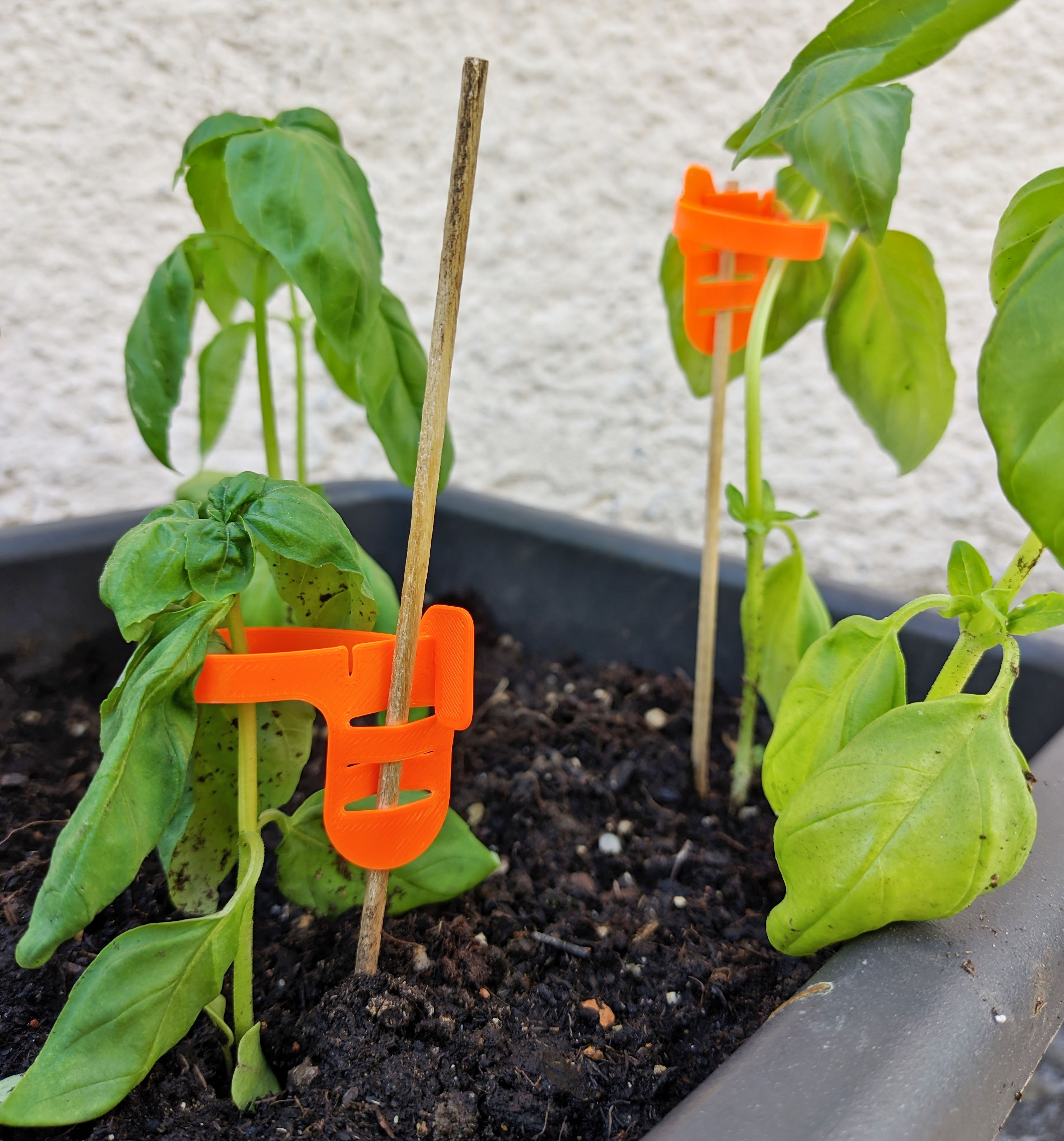 Miniatura 2 do modelo 3D Plant Support Ring