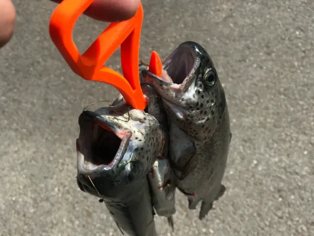 Fish Collector Hook