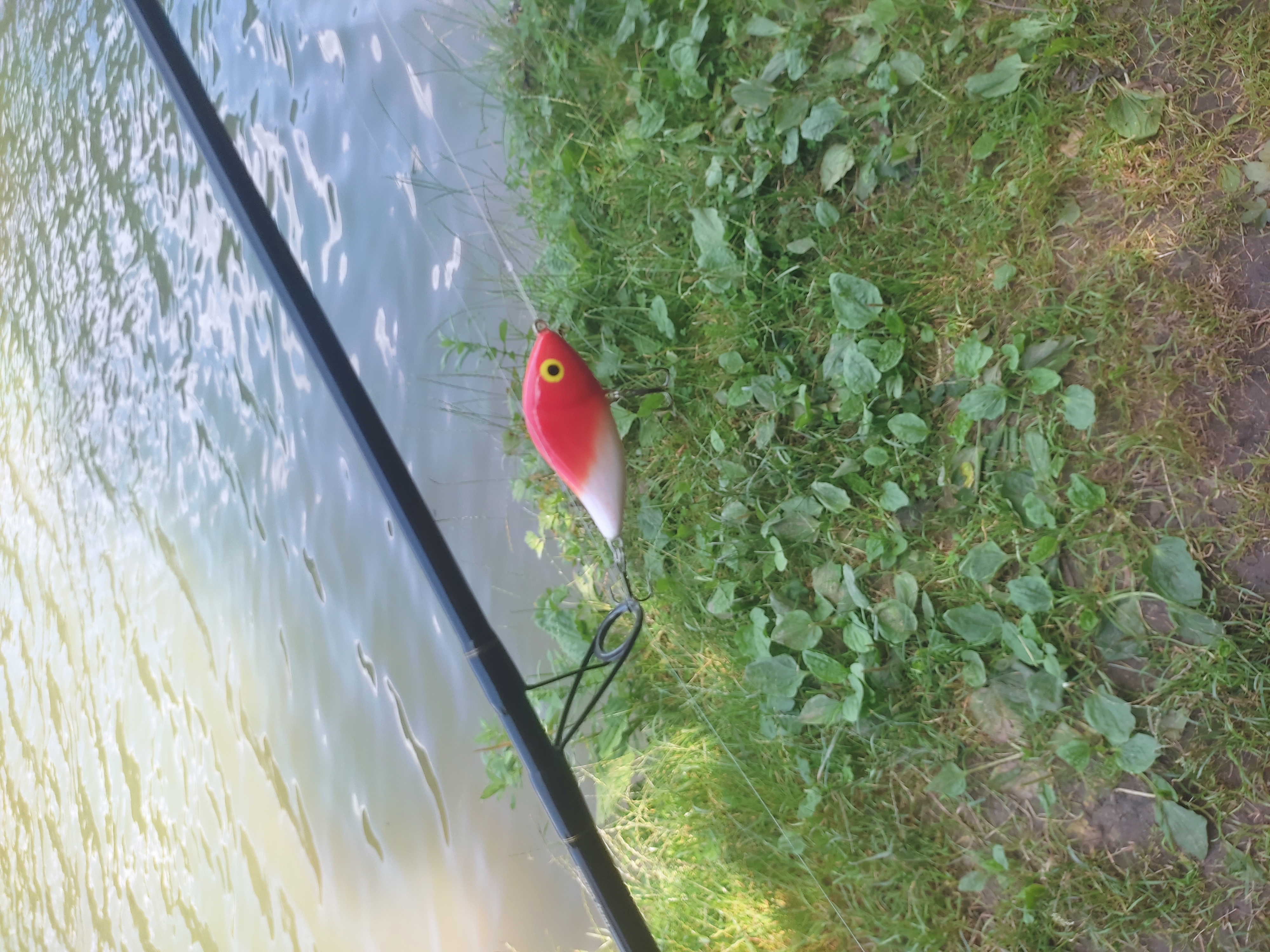 Jerkbait