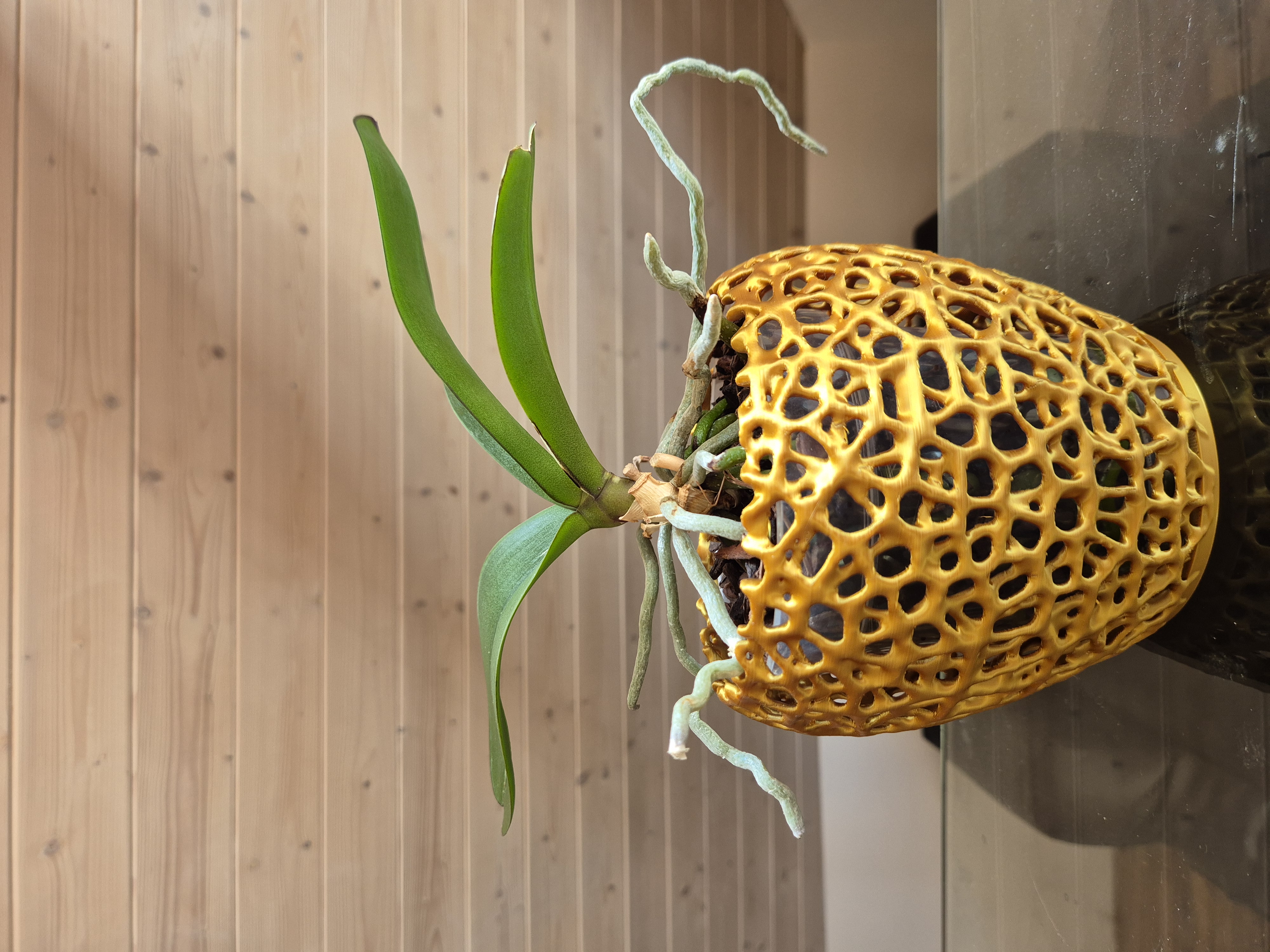 Orchid Voronoi Pot