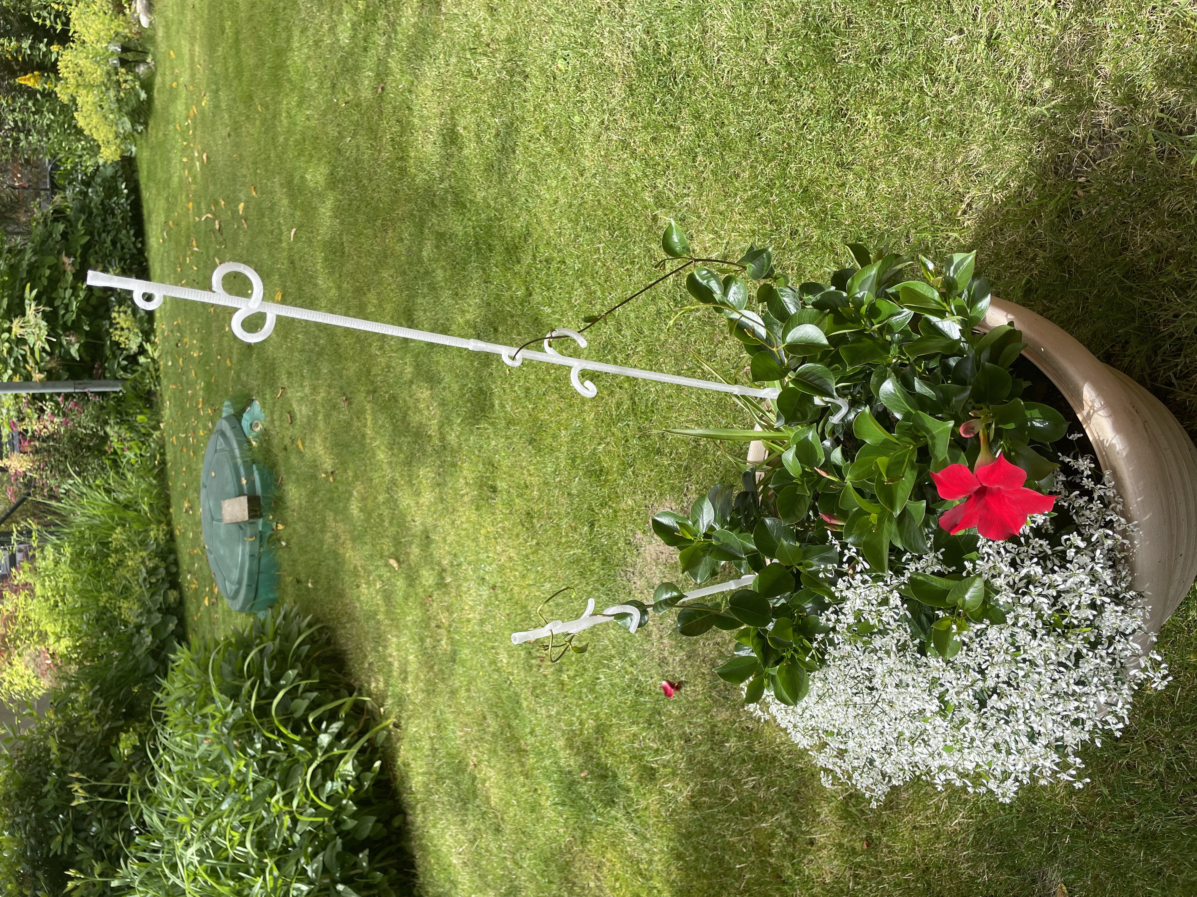 Stackable Plant Support