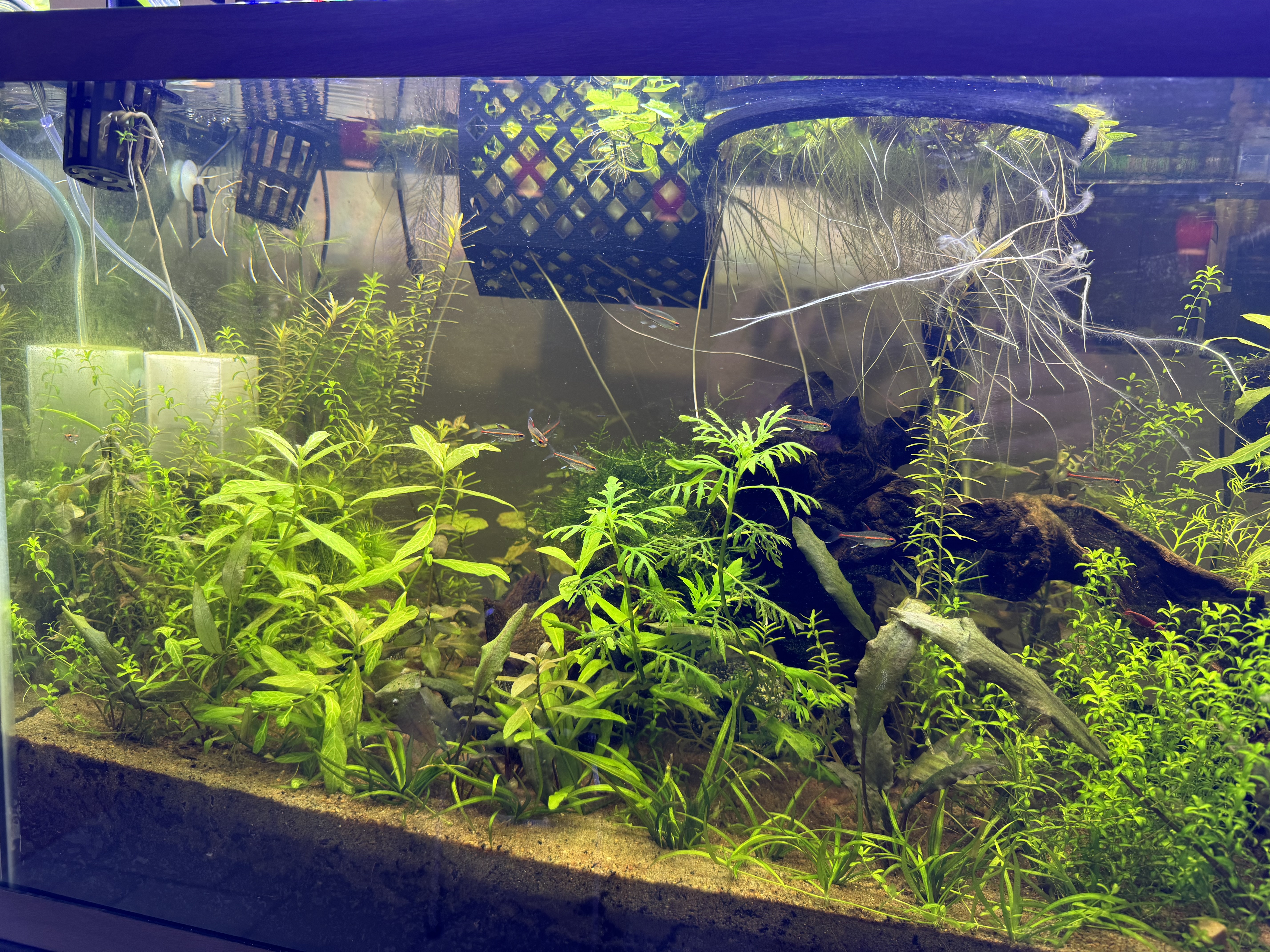 Miniatura 3 do modelo 3D Passive CO2 Diffuser for Planted Aquariums