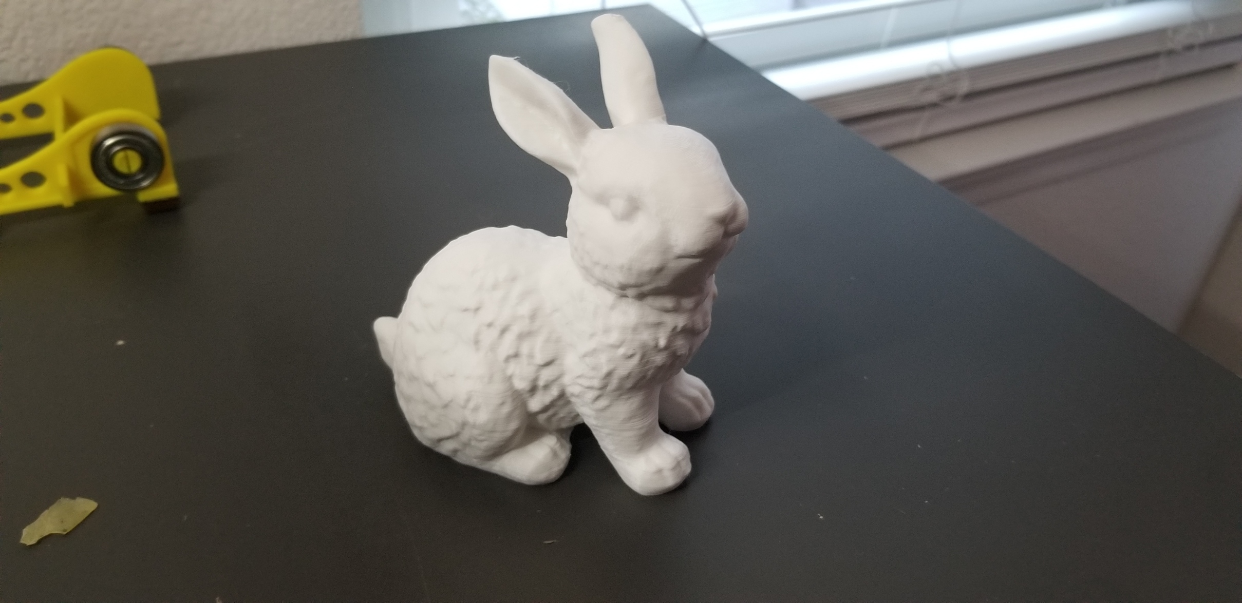 Bunny