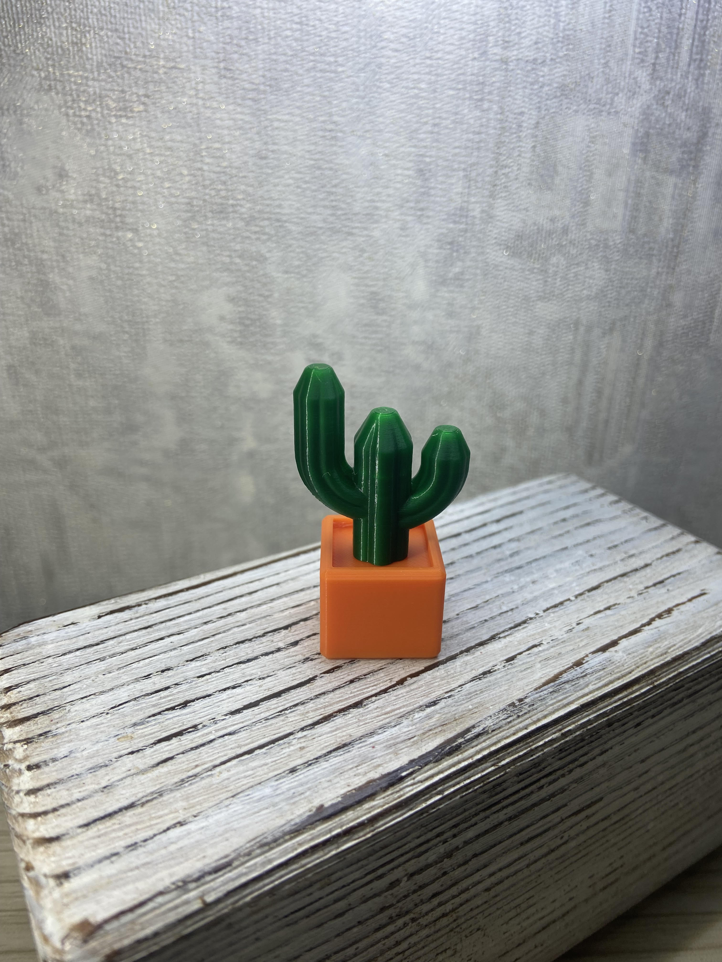 cactus-magnet-miniature-by-oleksandr-download-free-stl-model