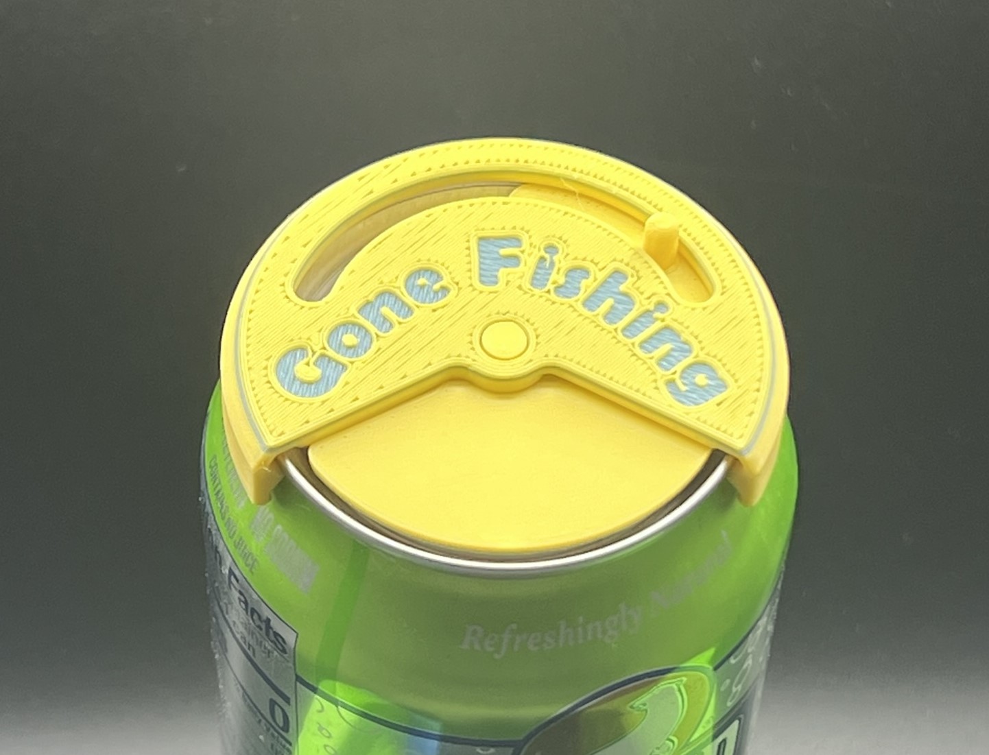 Beer Can Lid/Soda Can Lid/Bug Cover (no supports needed) by EcoDad ...