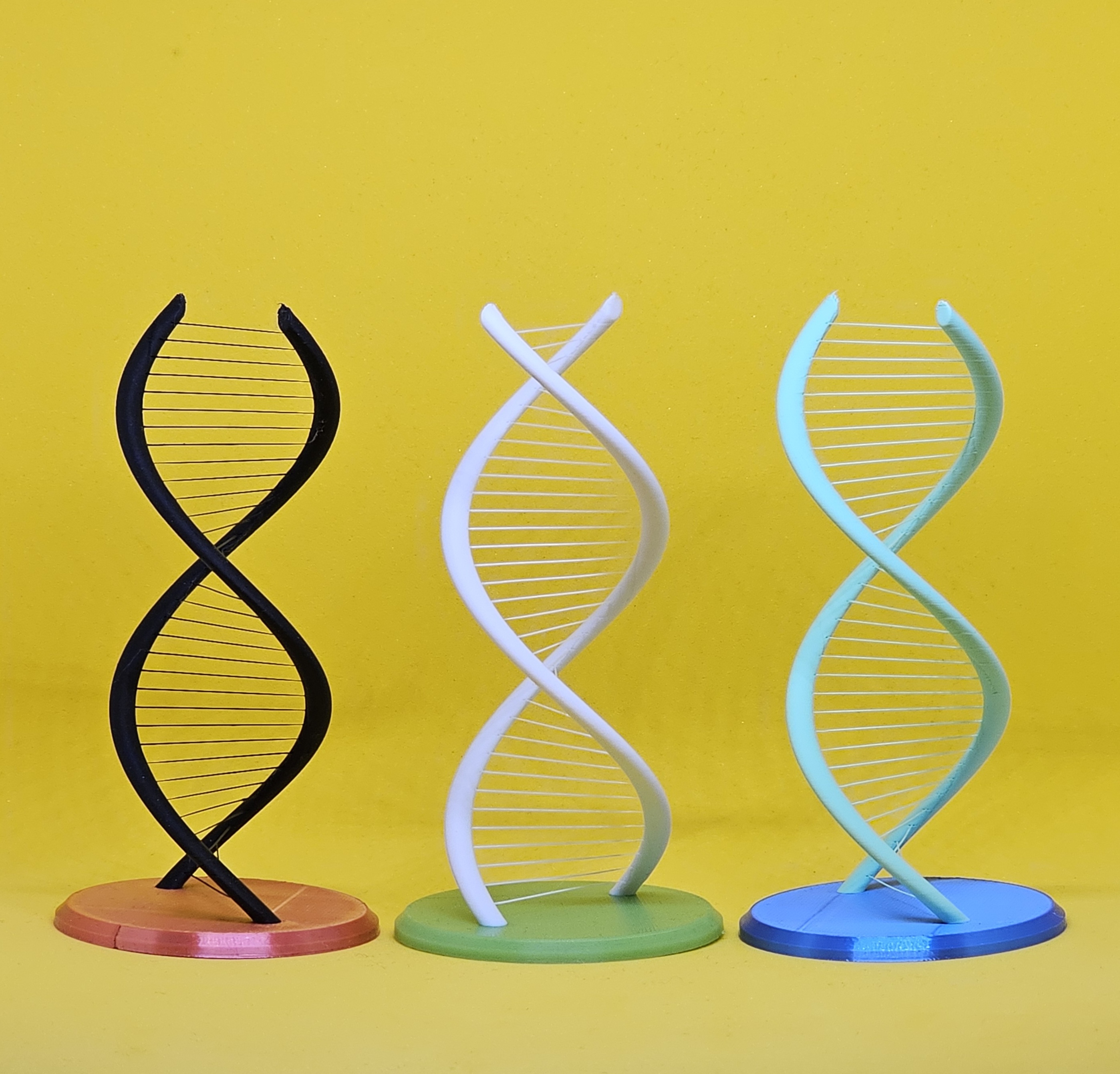 Suspended Filament Double Helix