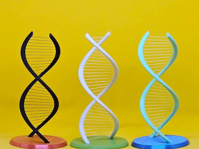 Suspended Filament Double Helix