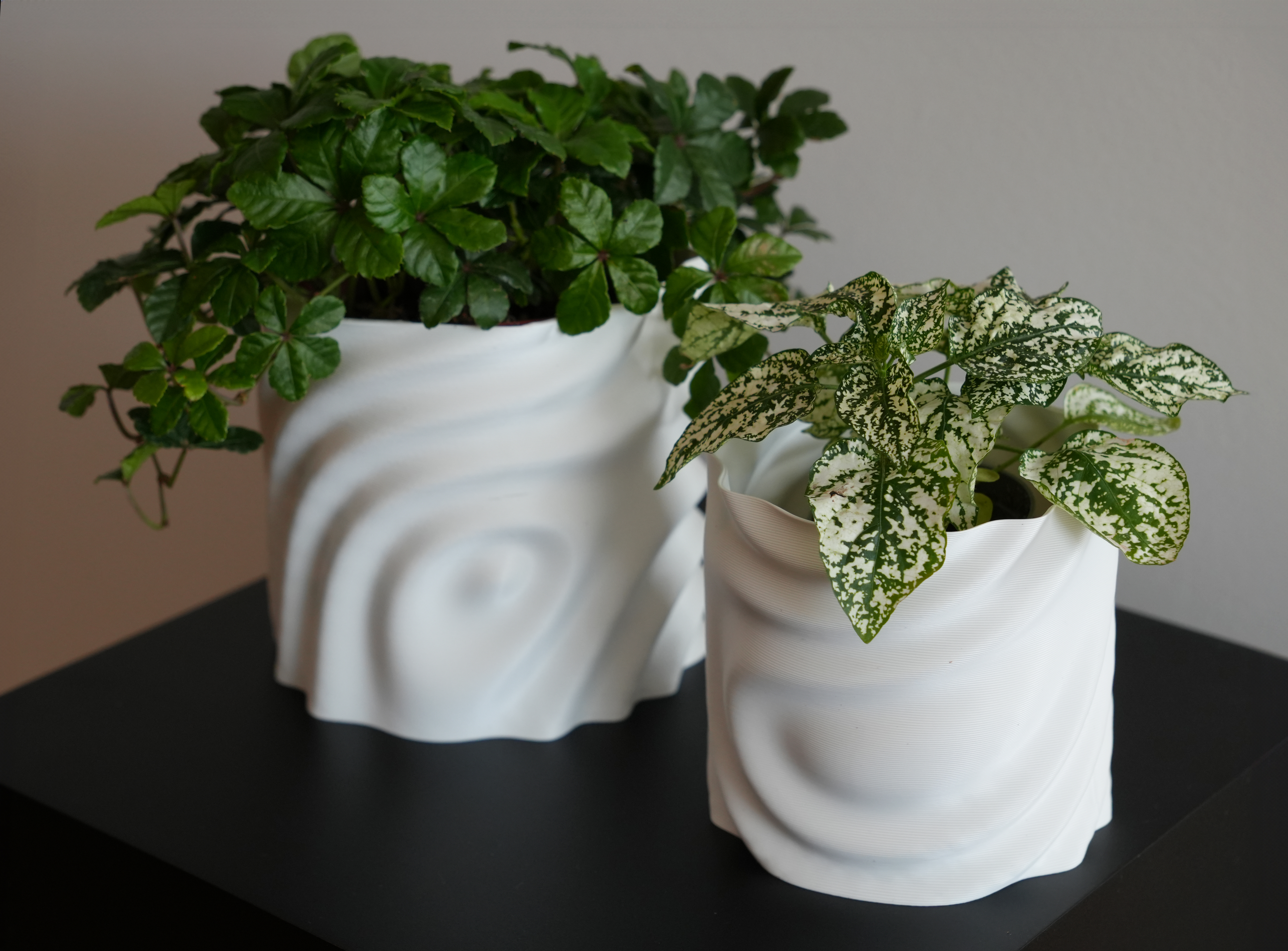 Melted Plant Pot
