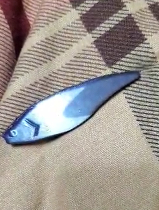 Fishing Lure, simple crankbait type