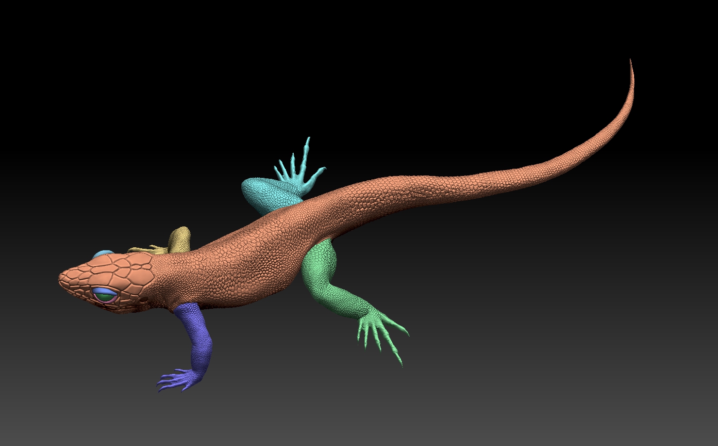 lizard — miniatura 5