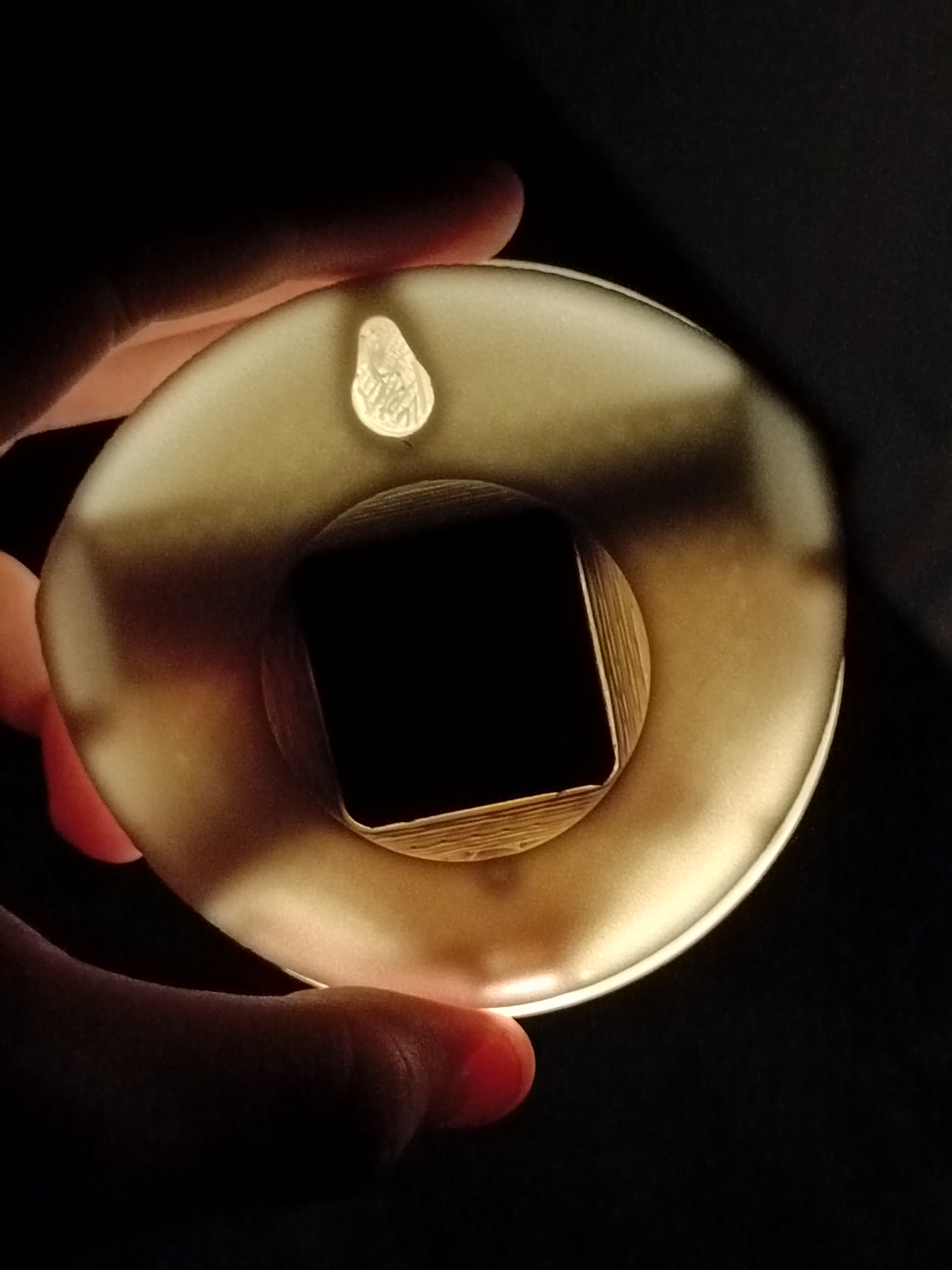 Motion lamp housing — thumbnail 7