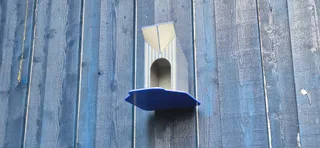 bird house