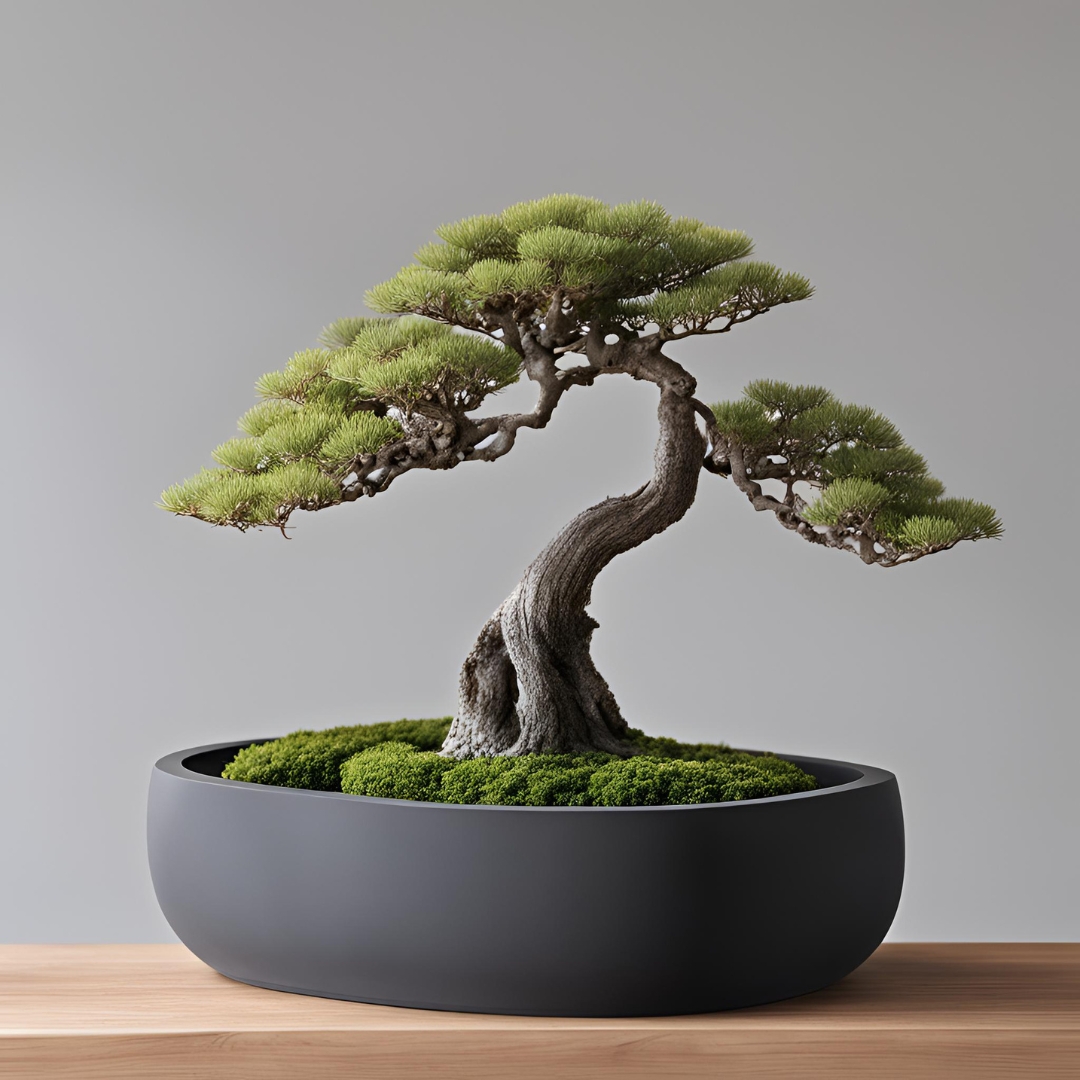 Round Bonsai Pot, Bonsai Planter by Deltaprints | Download free STL ...