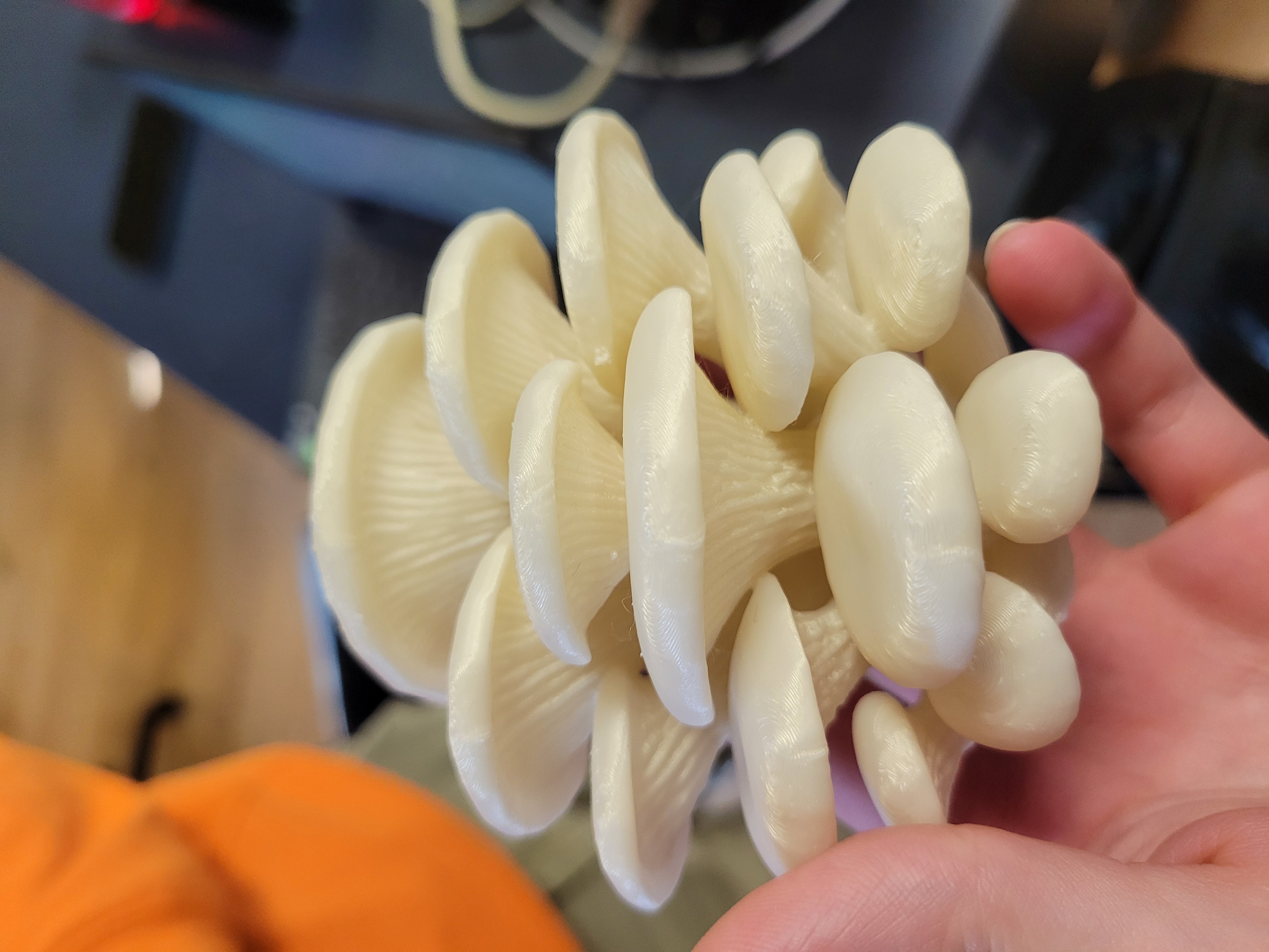 Detailed Blue Oyster Mushroom