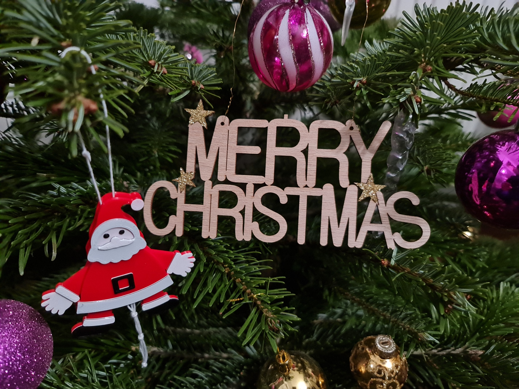 Fun Santa Ornament
