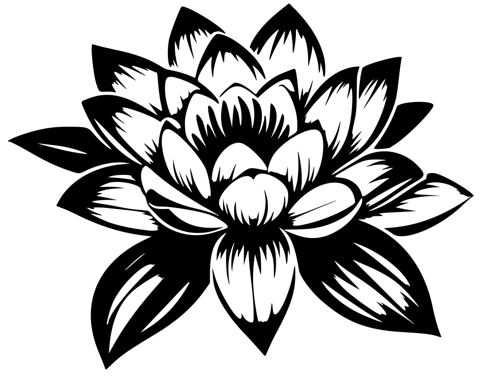 Waterlily