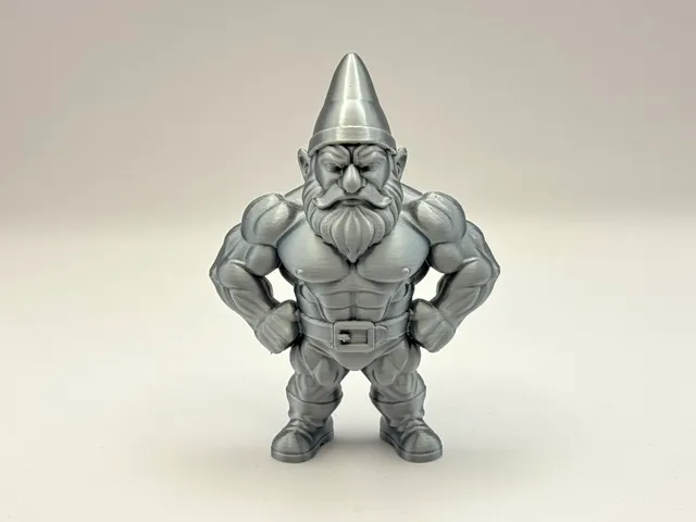 Guardian of Gains Gnome!