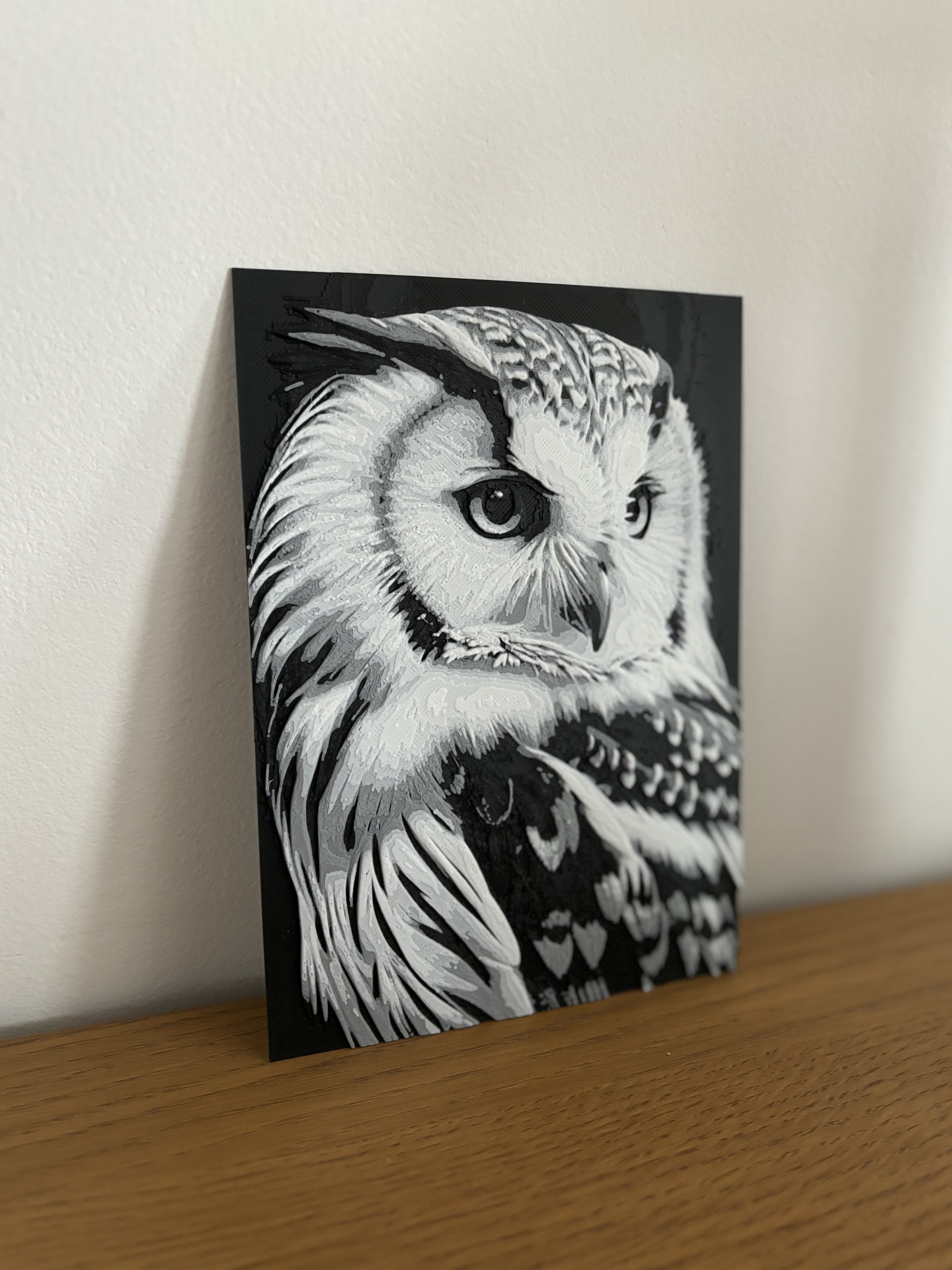 Miniatura 2 do modelo 3D hueforge owl
