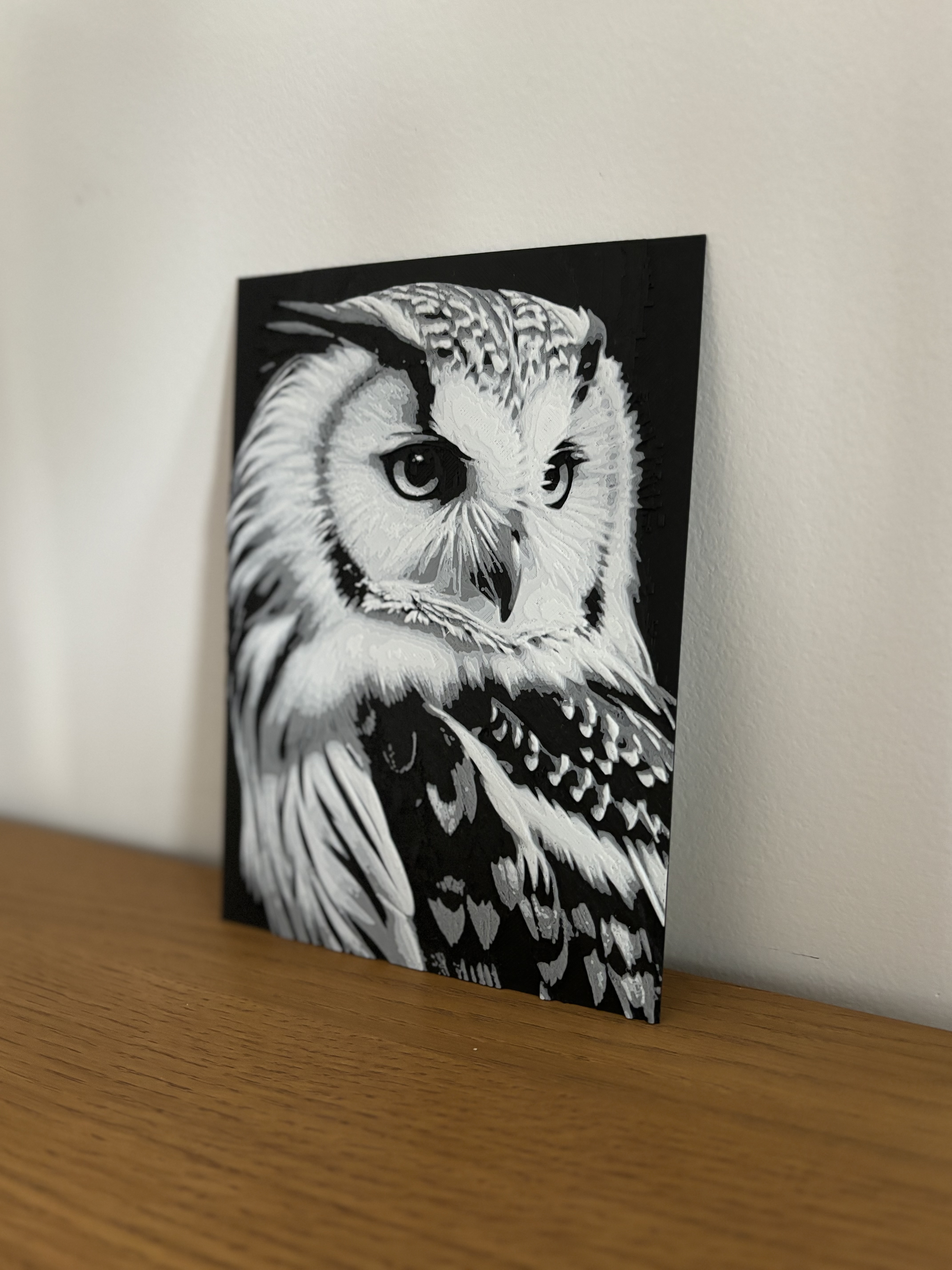 Miniatura 3 do modelo 3D hueforge owl