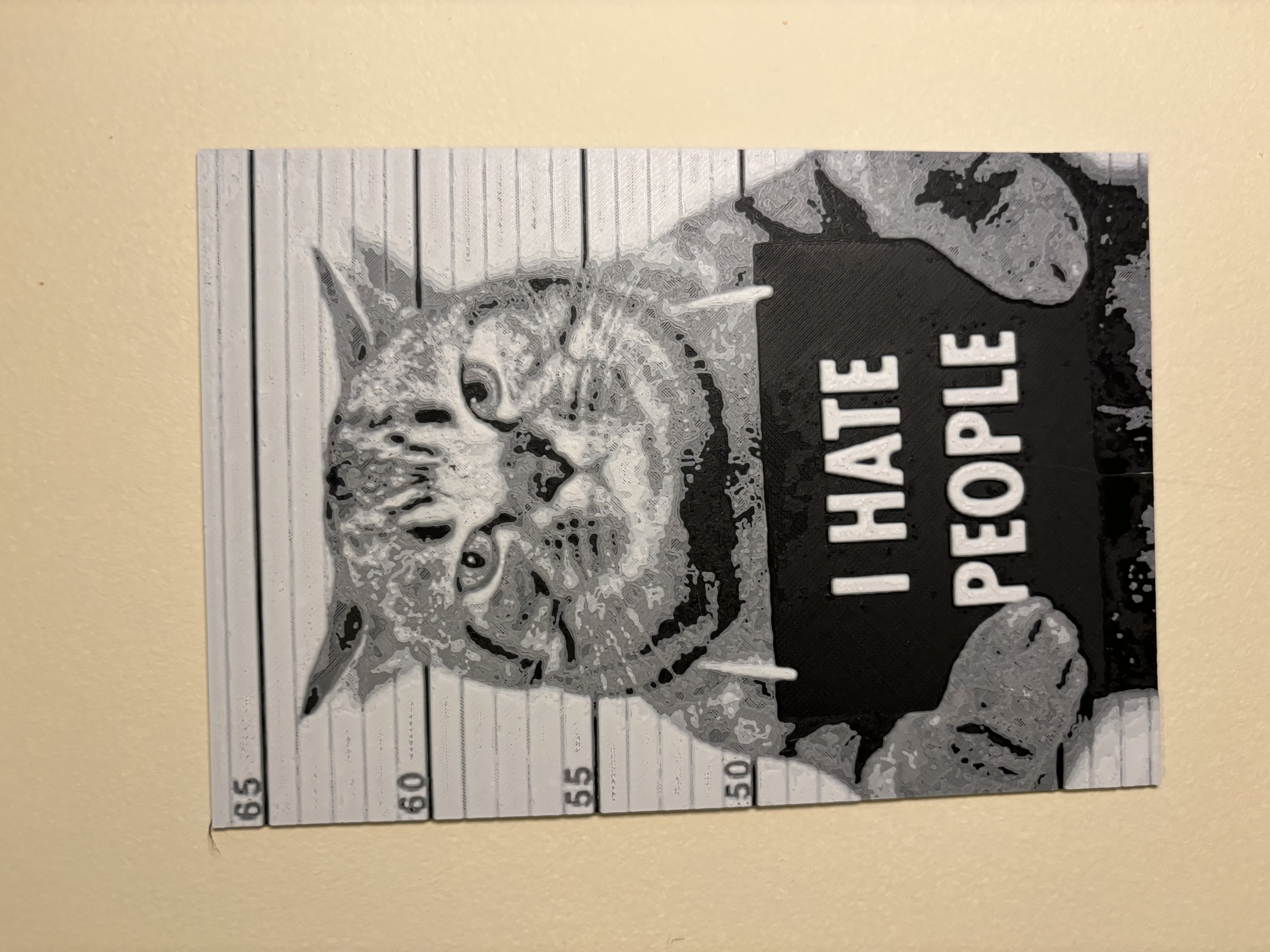 hueforge cat