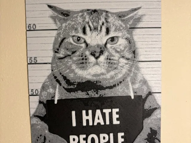 hueforge cat