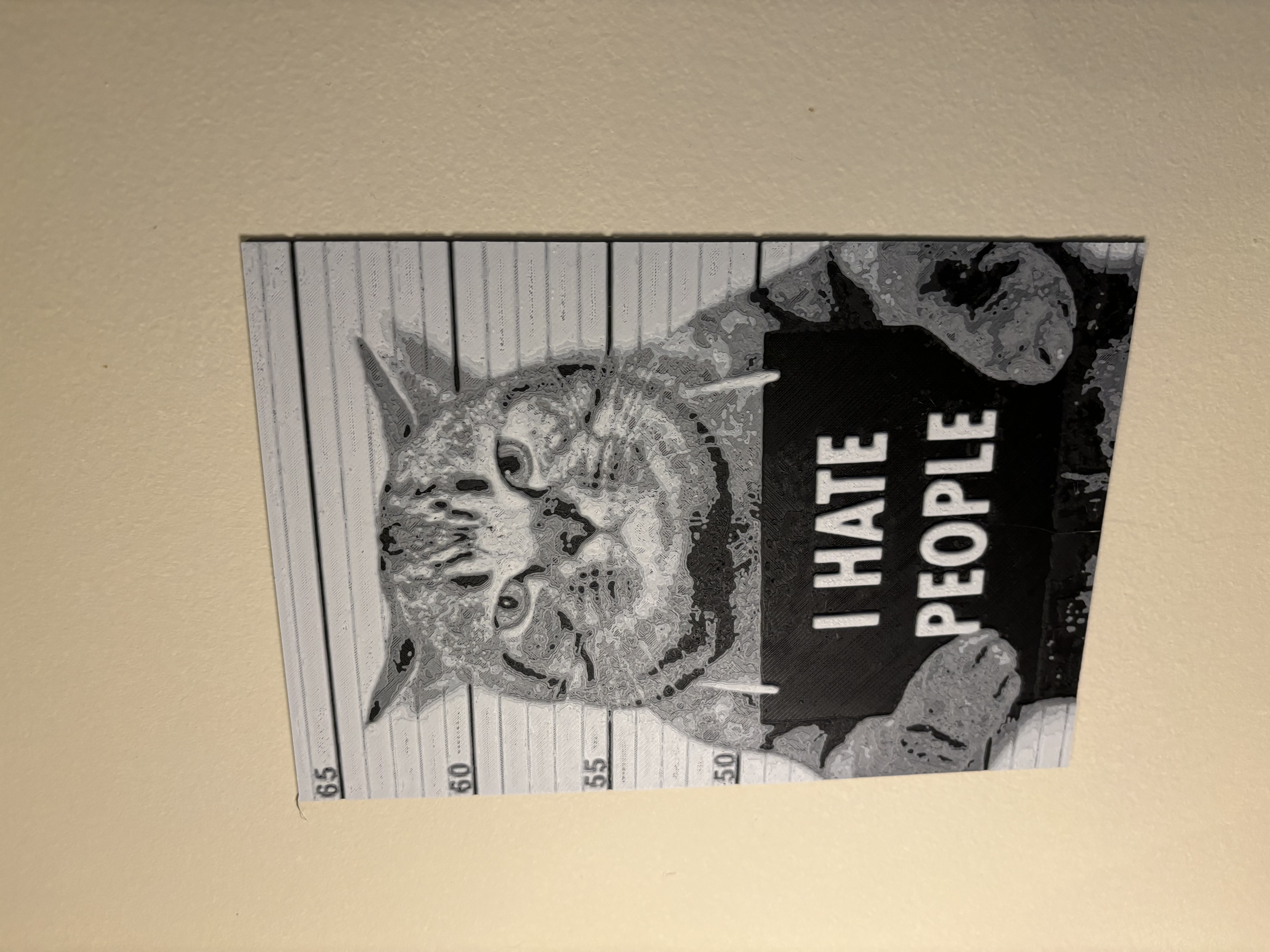 Miniatura 2 do modelo 3D hueforge cat