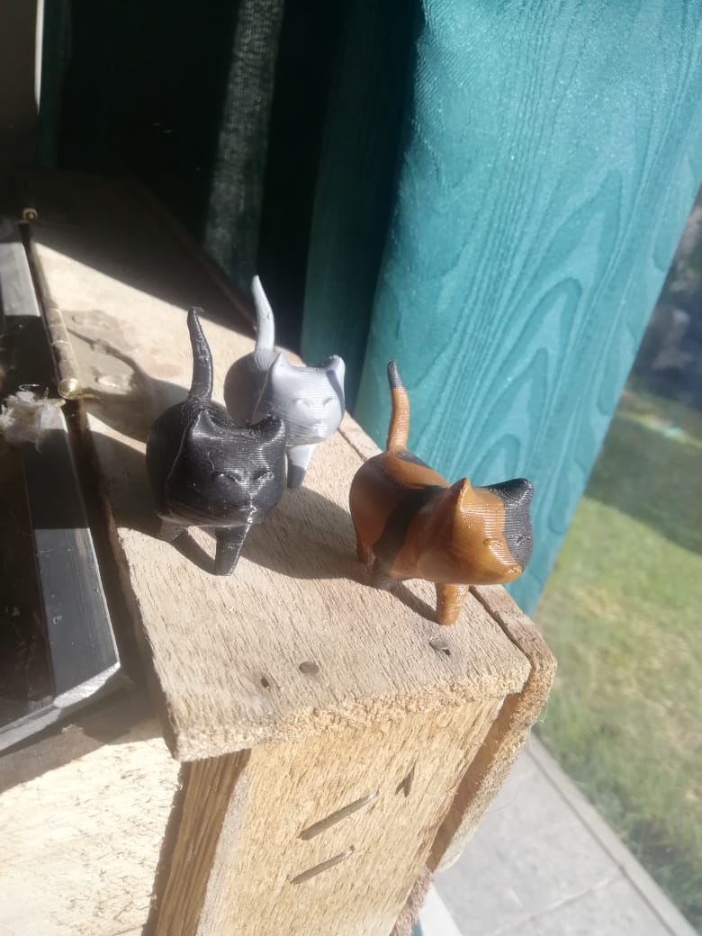 A simple Cat - Un simple gato