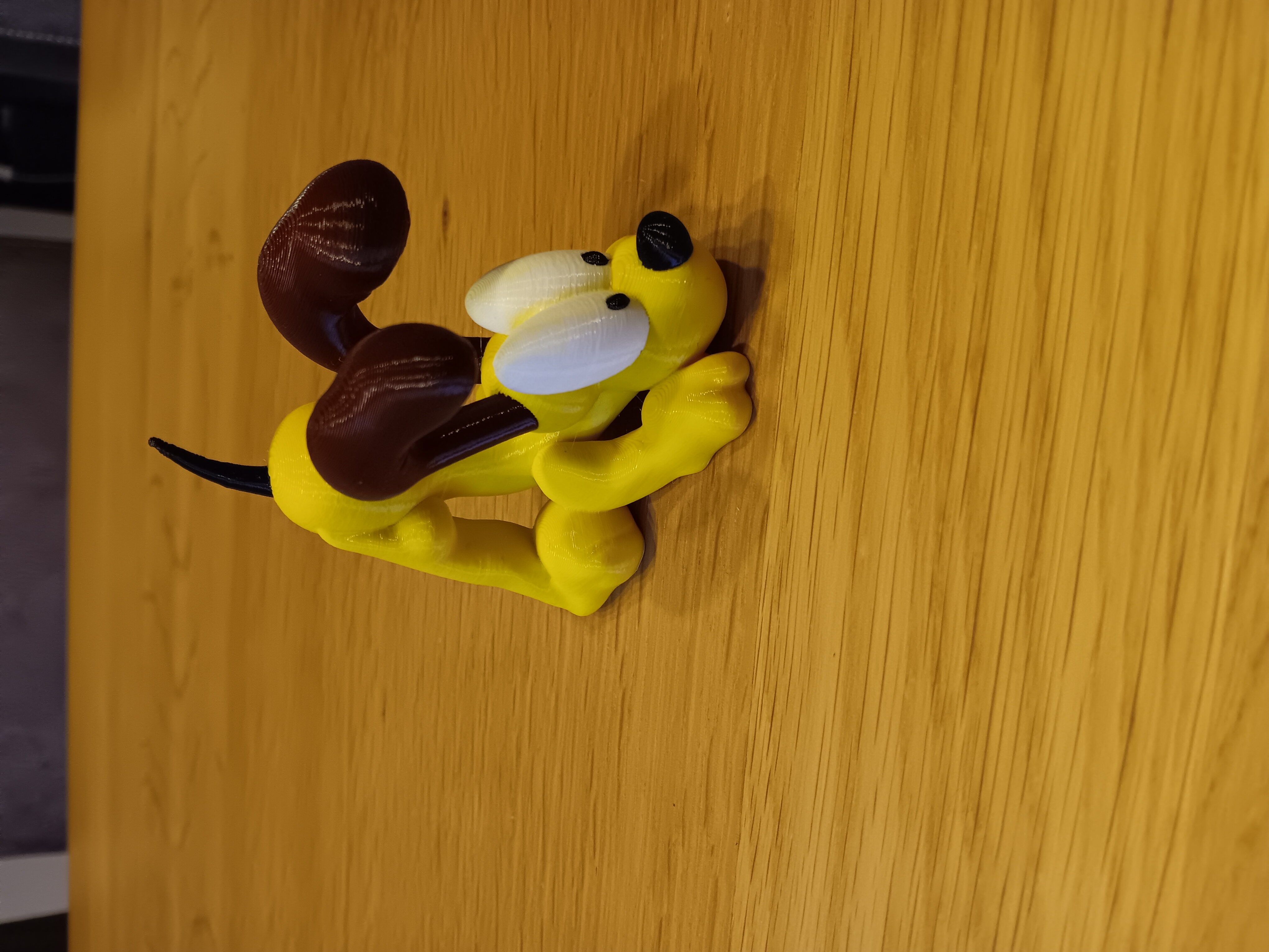 Odie - MMU