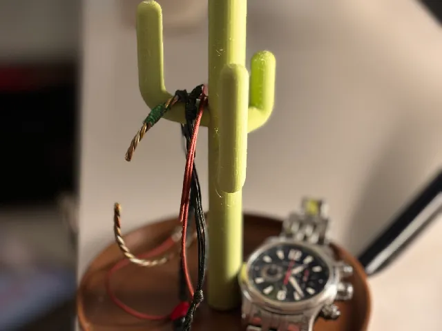 Improved Cactus Jewelry Holder