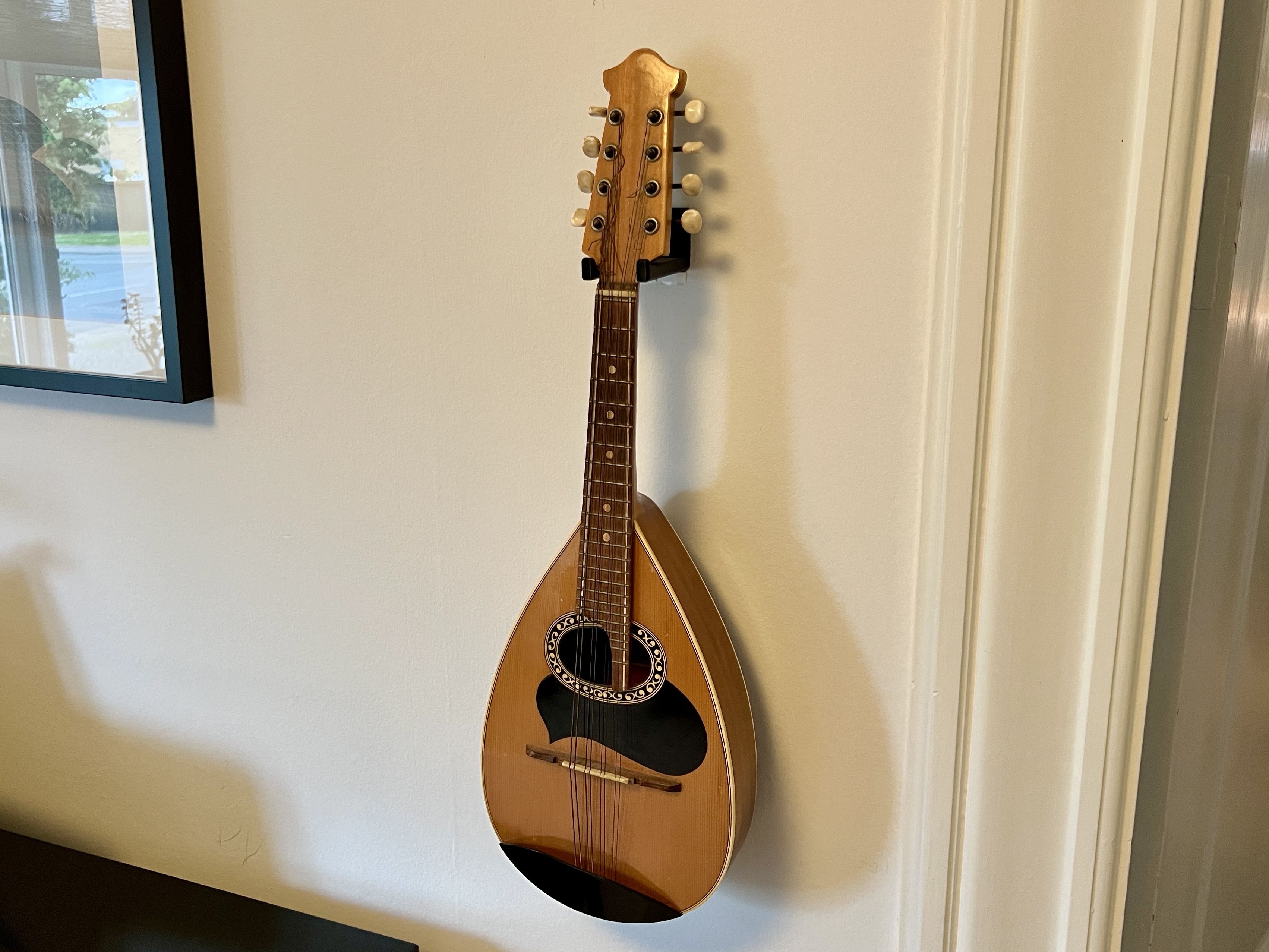 Mandolin holder