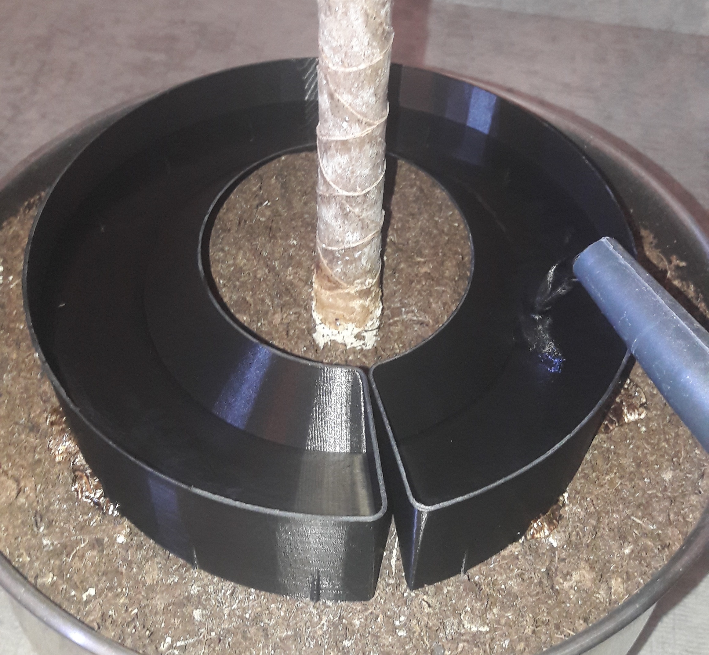 Watering Ring (Vase Mode)