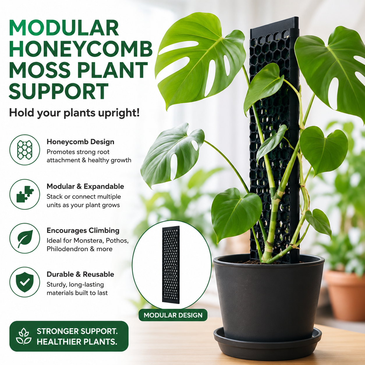 Modular honeycomb moss plant support - hold your plants upright!