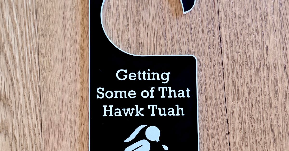 Hawk Tuah Door Hanger by Noob3dPrinting | Download free STL model ...