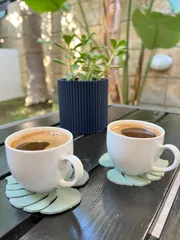 Leaf coasters