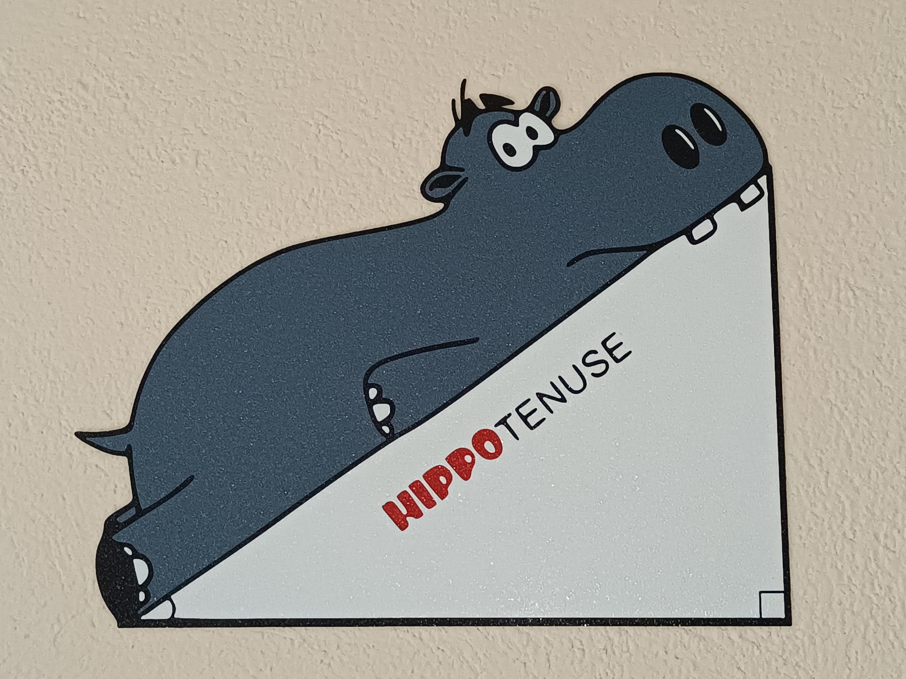 The "HIPPO"TENUSE