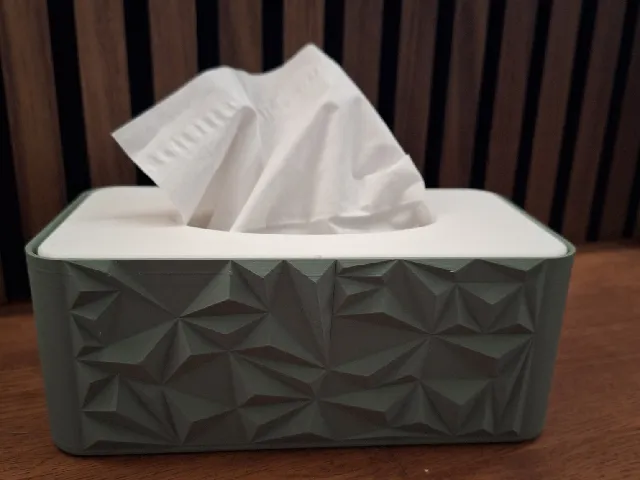 Tissue holder