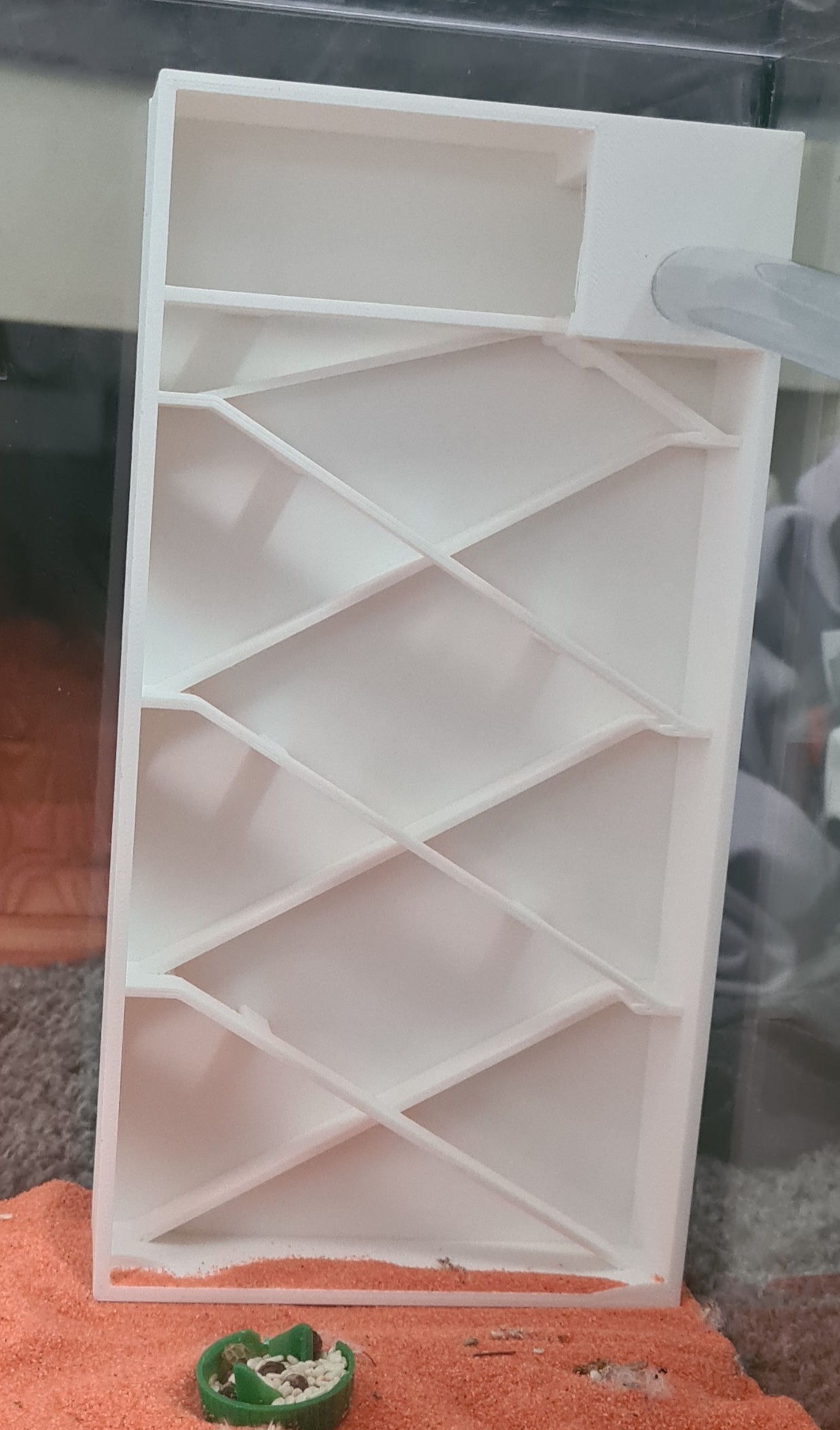 Ant Stairs - Formicarium
