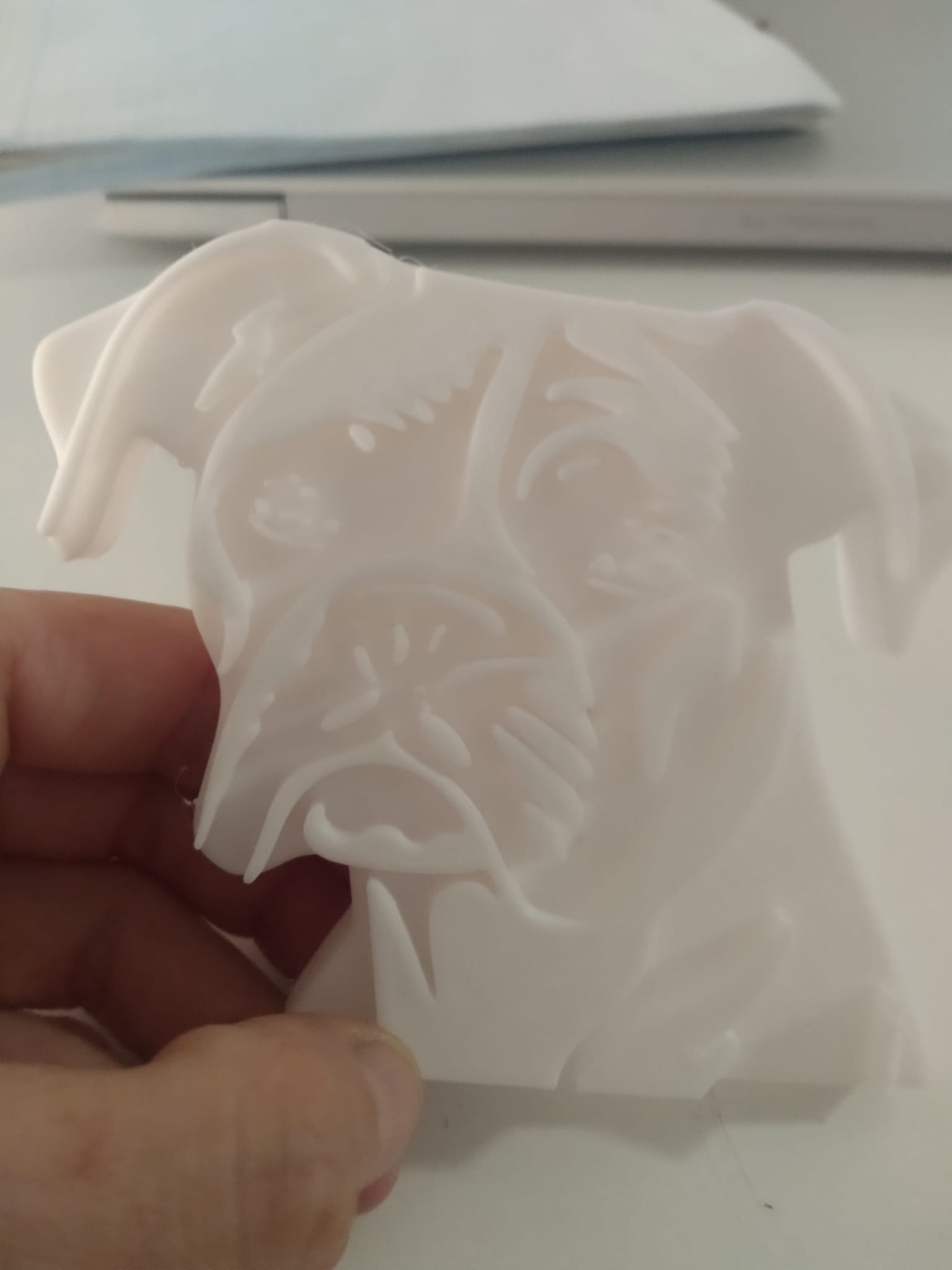 Placa perro boxer