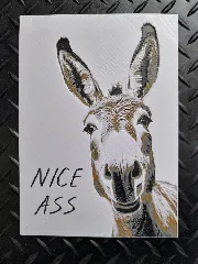 Nice Ass