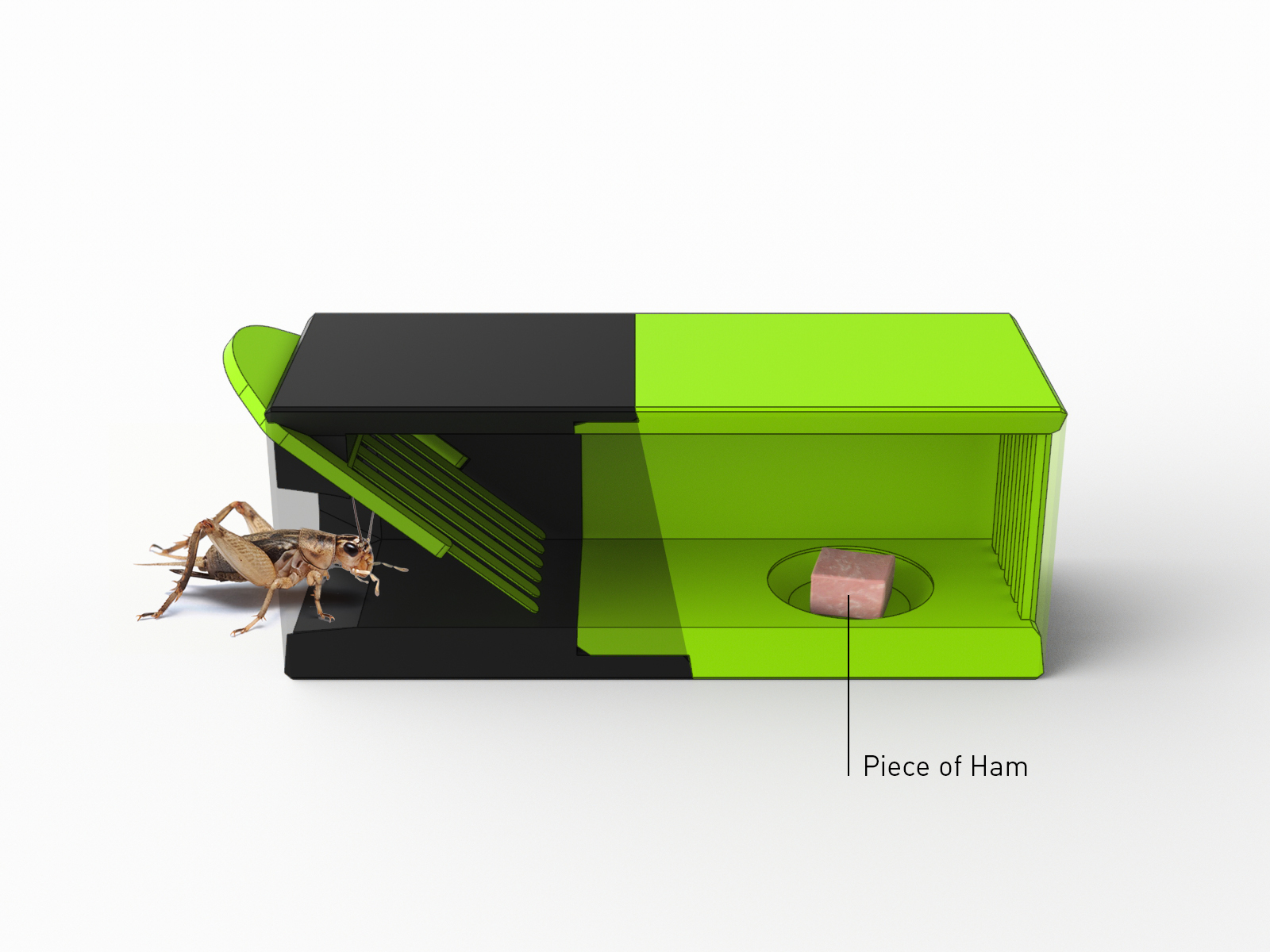 Cricket Trap for Terarists by RePeteeMe Download free STL model