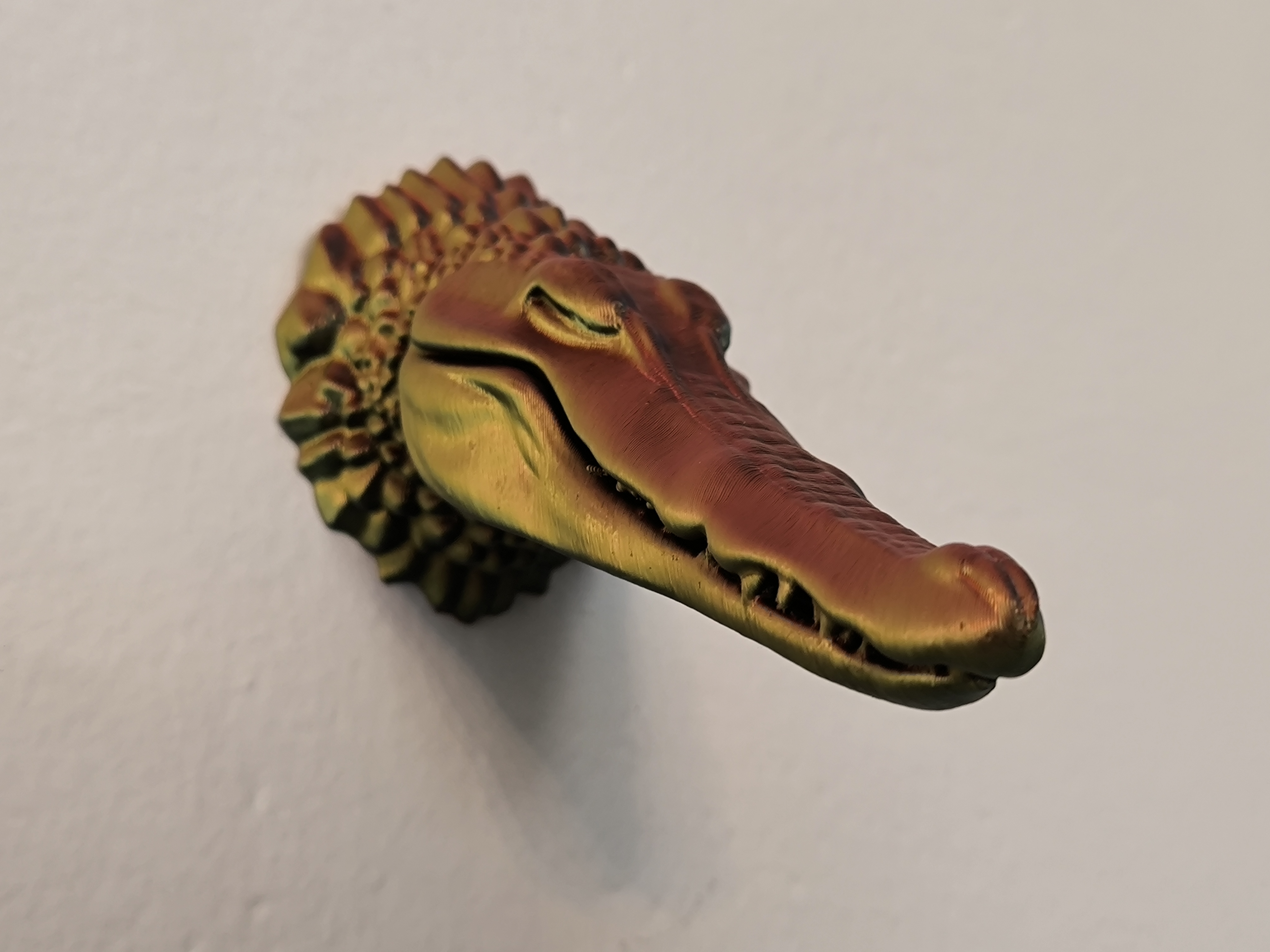 Alligator head - Wall Trophy